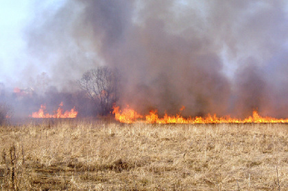 В Усть-Качке во время тушения горящей травы нашли погибшего человека