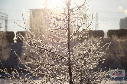 В предновогодние дни в Прикамье похолодает до -38°С