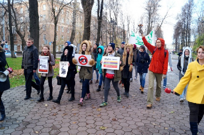 Глава управления по экологии получил удар в голову от зоозащитника