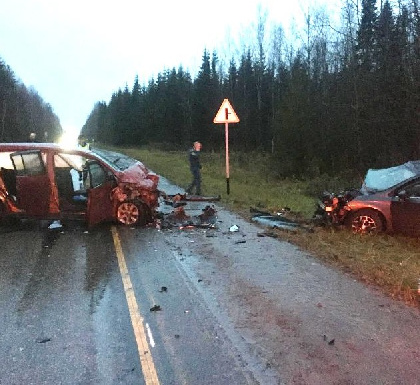В Добрянском районе в аварии погибла двухлетняя девочка