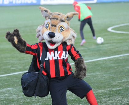 Краевые власти анонсировали возрождение  футбольного клуба «Амкар»