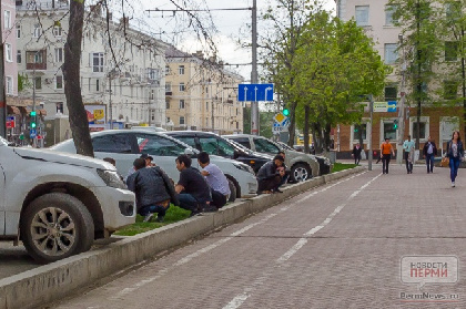 12 уголовных дел возбуждено в Пермском крае за незаконную миграцию