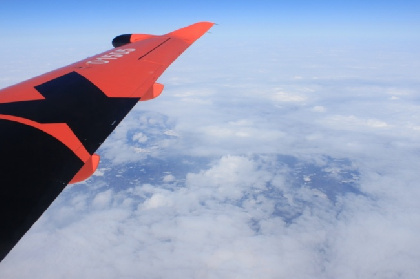 В Пермском крае минувшей ночью вводили режимы «Ковер» и «Беспилотная опасность»