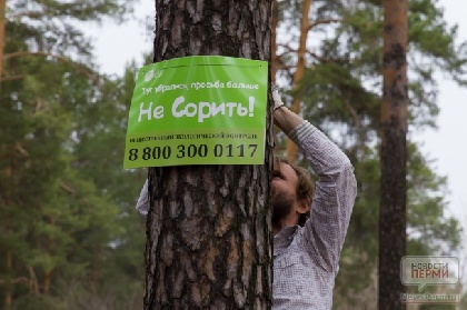 В Перми рассмотрят вопрос о разрешении строительства в Черняевском лесу