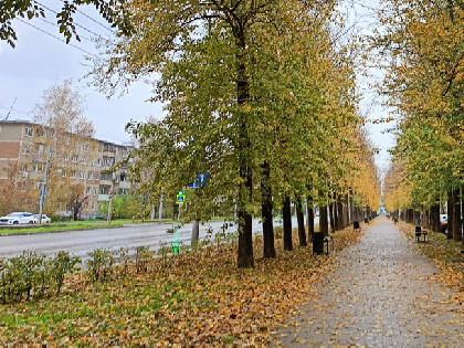 В Пермский край ненадолго вернется тепло
