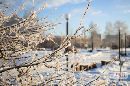 До -22 градусов: морозы в Прикамье на неделе продолжатся