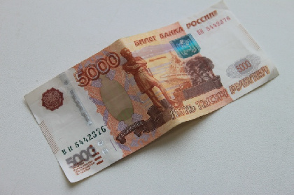 В Прикамье в два раза сократилось количество фальшивых денег