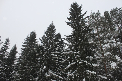 Жителю Красновишерска в полиции вручили благодарственное письмо за помощь в поисках пропавших туристов