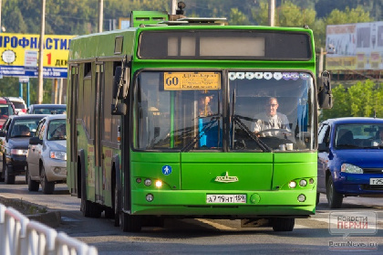 Мэрия Перми ищет перевозчика на автобусный маршрут №60