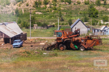 Медведь повадился в деревню Пашня, еще нескольких заметили в Нытвенском округе