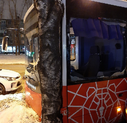 В Перми «Волгабас» без водителя врезался в дерево