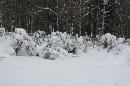 В Чусовом прокуратура проверяет ЧП с мальчиком, которого засыпало снегом