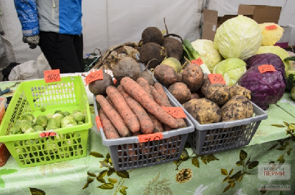 Цены на социально значимые продукты в Пермском крае снизились на шесть процентов