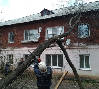 В Прикамье ветер повалил дерево на провода рядом с домом