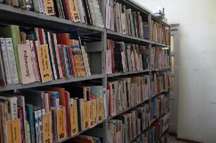 Главбух библиотек из Соликамска осуждена за мошенничество