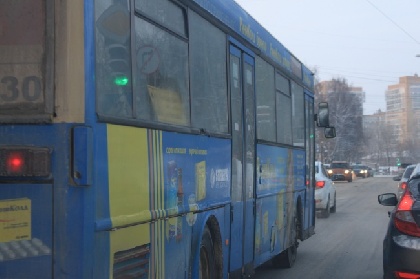В Перми прошел пикет против городской транспортной сети 