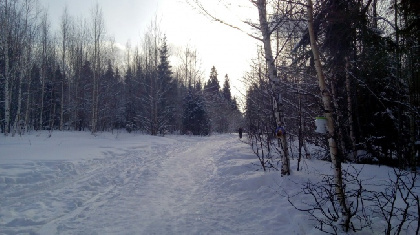 Из Чердынского района на вертолете эвакуировали туриста
