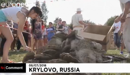 Канал Euronews выпустил сюжет о турнире «Веселый коровяк»