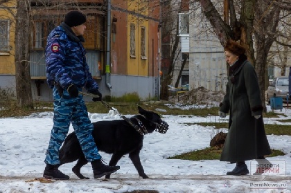 В Дзержинском районе обокрали квартиру пенсионерки
