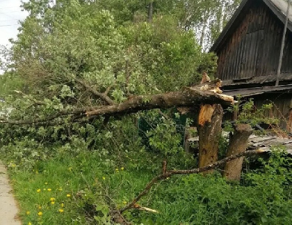 Чердынский округ обесточен из-за урагана: аварийные бригады восстанавливают электричество