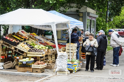 В Перми  прошли торги на размещение нестационарных торговых объектов