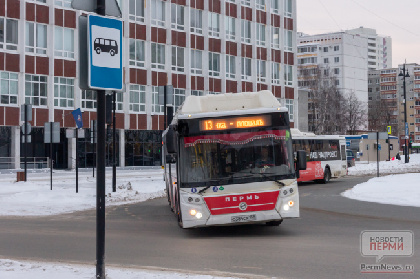 В Перми за 2025 год обновили более 400 автобусов