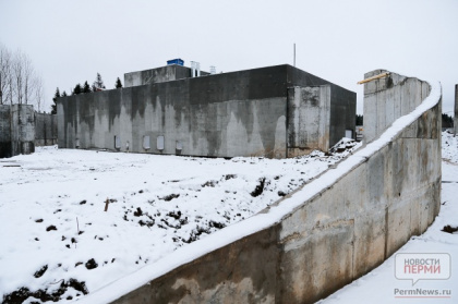 Новый зоопарк построят в Перми в 2020 году