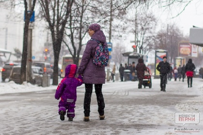 В Прикамье снизилась рождаемость