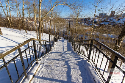 В новогодние каникулы пермяков приглашают на прогулки по экологическим тропам в городских лесах