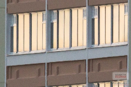 В Закамске мужчина стреляет из окна по птицам и животным 