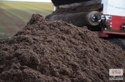 В Пермском крае ООО добывала песчано-гравийную смесь за пределами участка