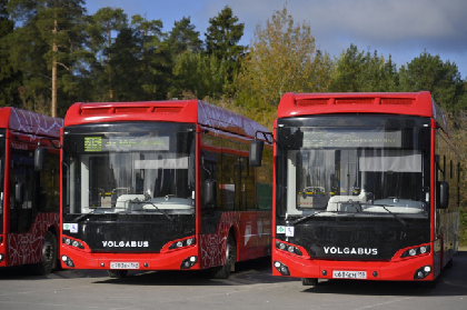 В Пермском округе этим летом запустят три новых автобусных маршрута