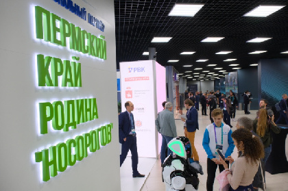 «Говорят, у нас будут «носороги»: в Москве оценили путь развития прикамского бизнеса