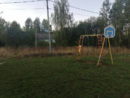 В Пермском крае транспортные полицейские спасли трёхлетнего ребёнка, ушедшего к железной дороге