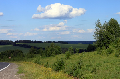 В Пермском крае началась сезонная миграция лосей