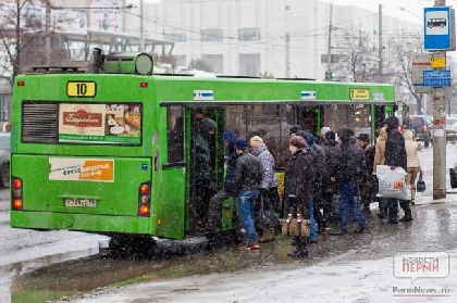 В Перми внедрят новую транспортную модель