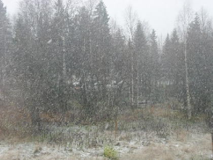 Снег с дождём и около нуля: погода в Прикамье на неделю