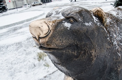 Митинг «Требуем ответа на улицах Перми!» напротив ЦУМа согласовали