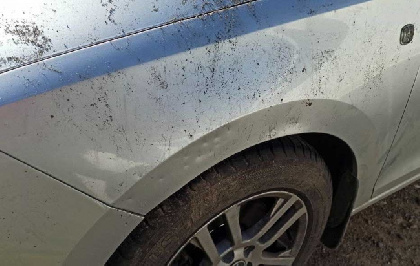 В Чайковском бродячие собаки покусали автомобиль