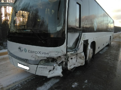 В Березниковском районе «Нива» столкнулась с автобусом
