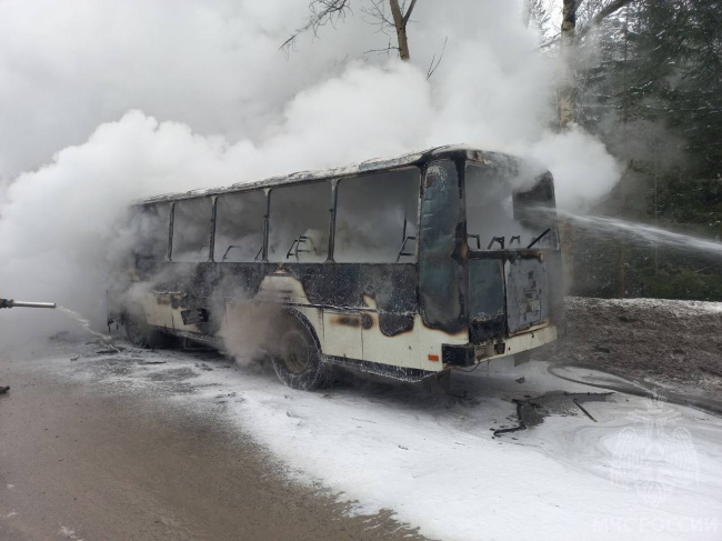 горел автобус.jpg