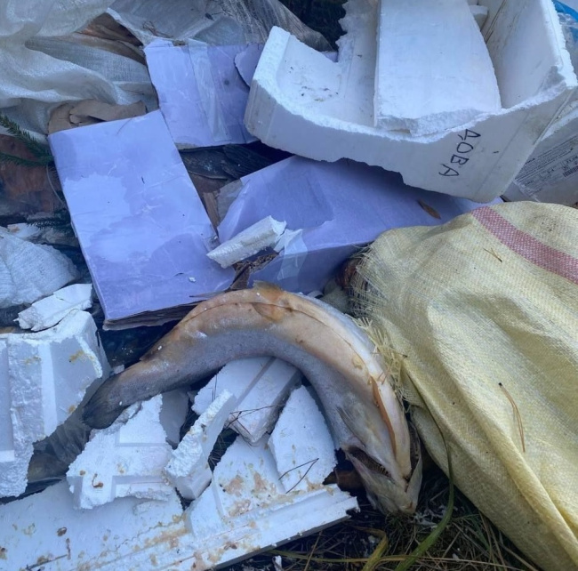 рыбные отходы.jpg