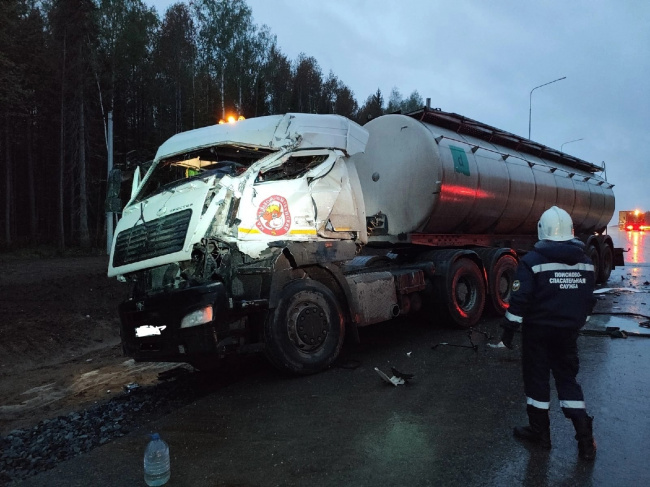 фото в тело.jpg