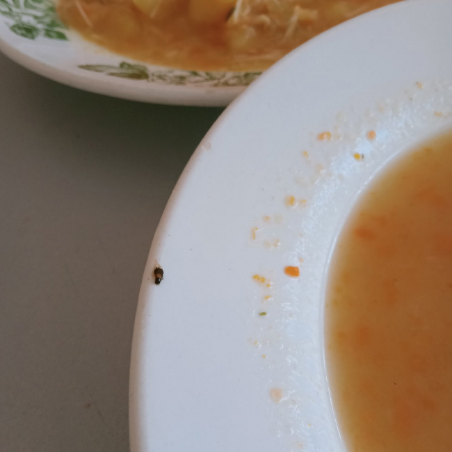 суп с насекомым.jpg
