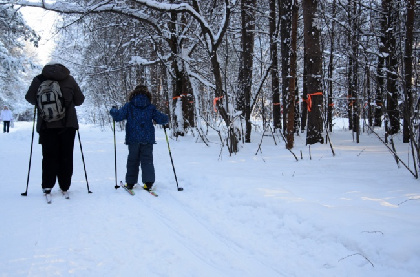 В городских лесах Перми обустроено 180 км лыжных маршрутов