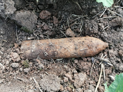 Прикамец нашел в лесу военный снаряд времен гражданской войны