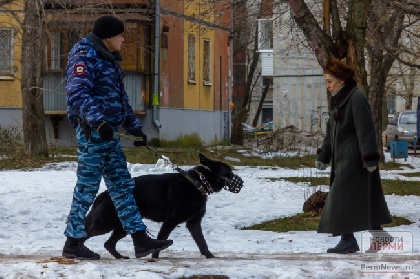 В Перми служебная собака помогла найти сбежавшего из дома школьника