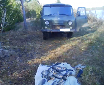 В Очерском районе задержали браконьеров из Кировской области