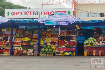 В Перми – новый виток борьбы с НТО