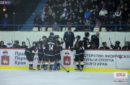 «Молот-Прикамье» в Перми был сильнее «Сокола»